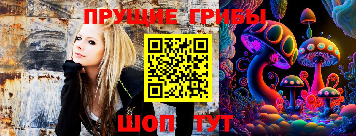 Псилоцибиновые грибы Cubensis Дубна