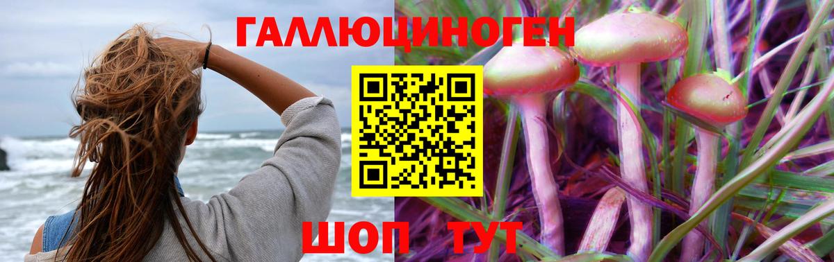Галлюциногенные грибы Magic Shrooms  Вход с VPN  как найти наркотики  Дубна 